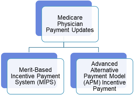 QPP Participation Pathways Chart